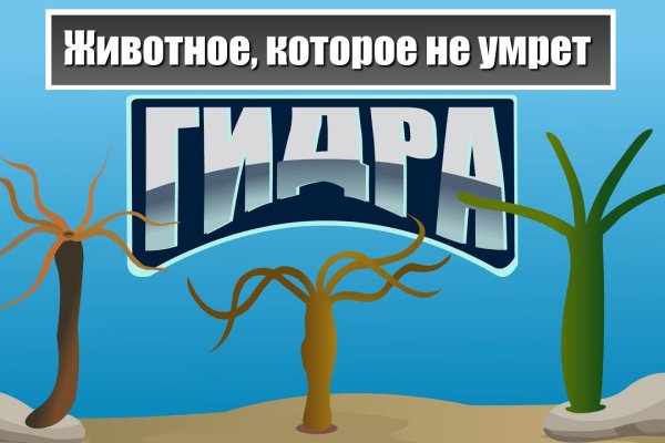 Кракен шоп зеркало